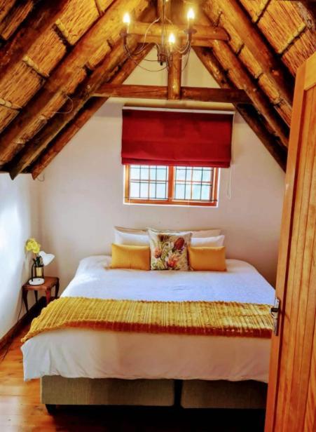 Mead, Pinelands Daire Cape Town Dış mekan fotoğraf